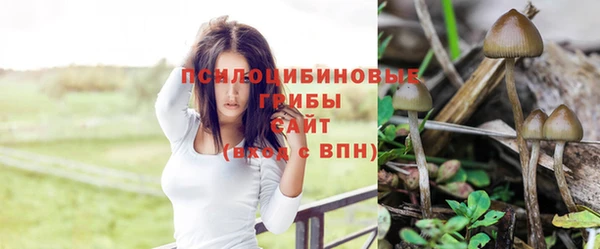 альфа пвп VHQ Белокуриха