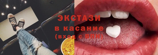 индика Гусь-Хрустальный